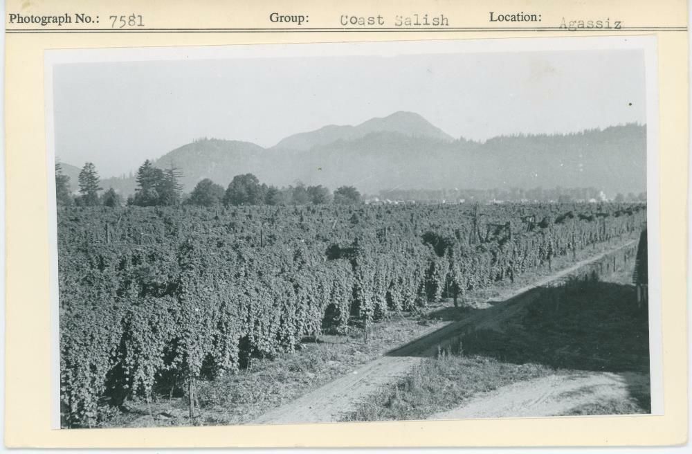 Image representing photograph.