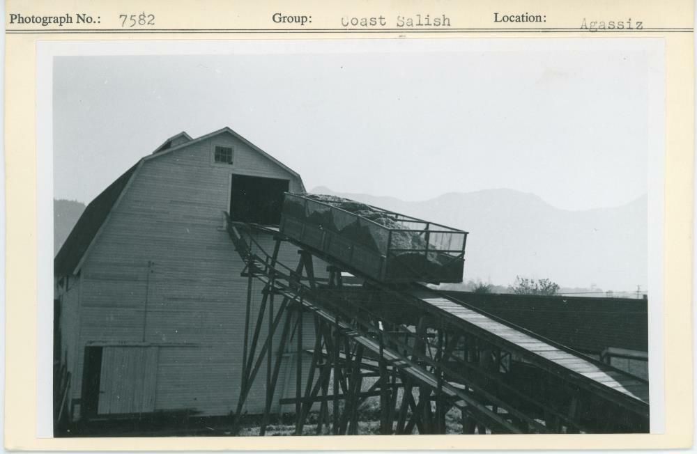 Image representing photograph.