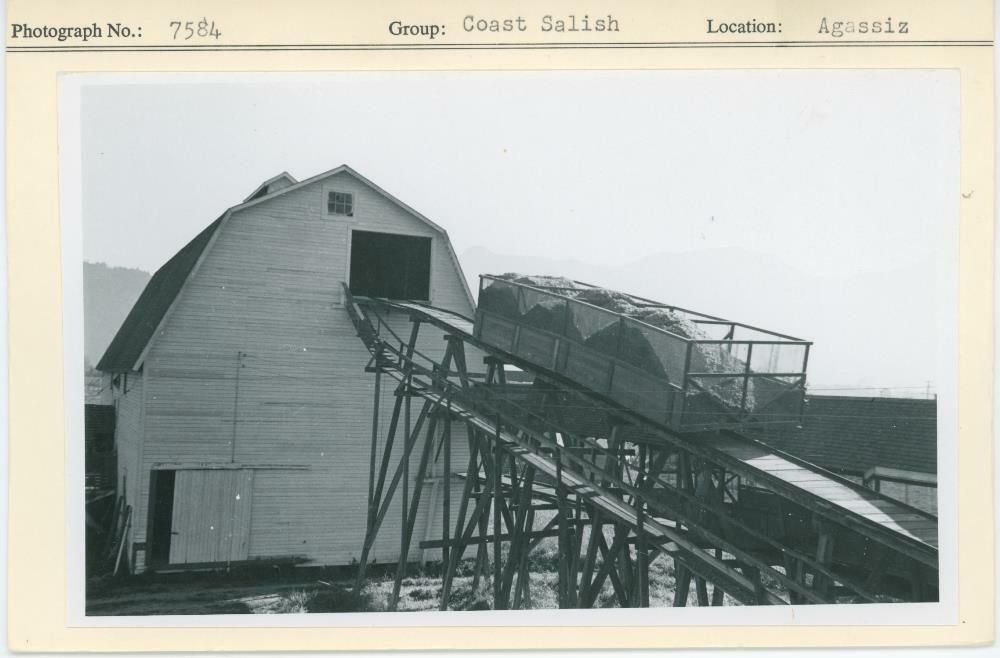 Image representing photograph.