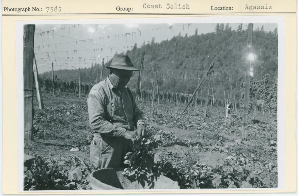 Image representing photograph.