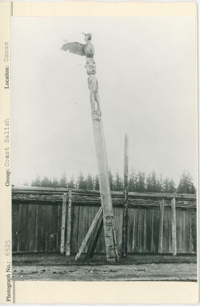 Image representing photograph.