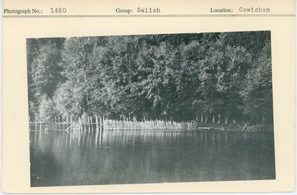 Image representing photograph.
