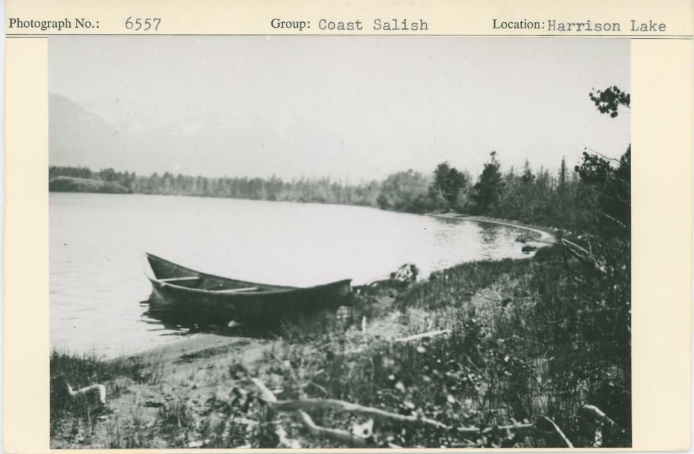 Image representing photograph.