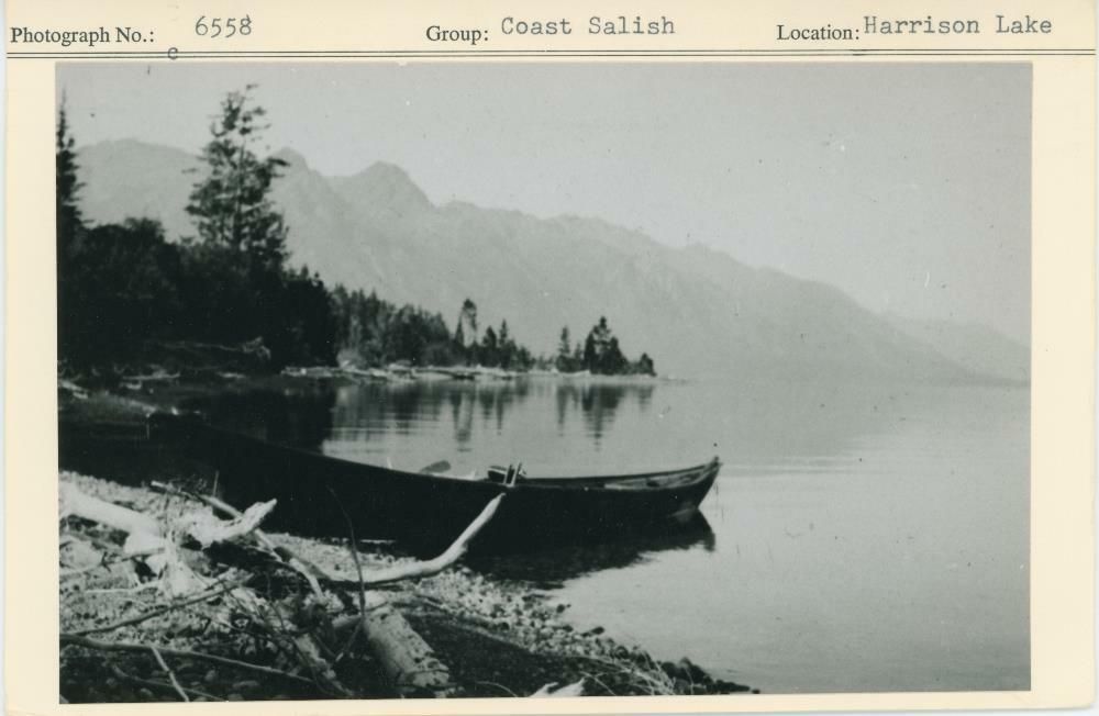 Image representing photograph.