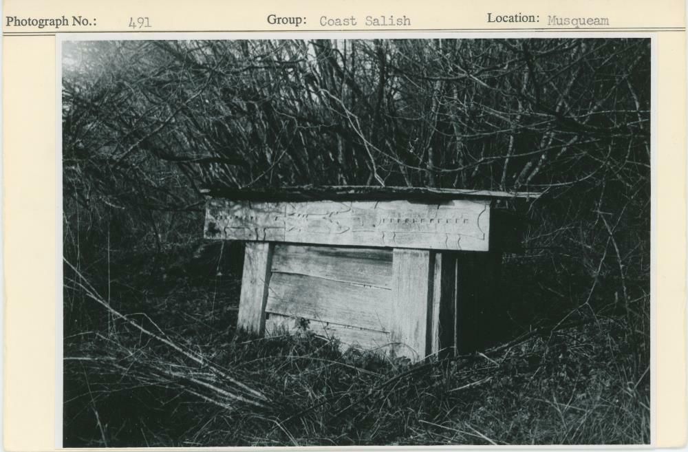 Image representing photograph.