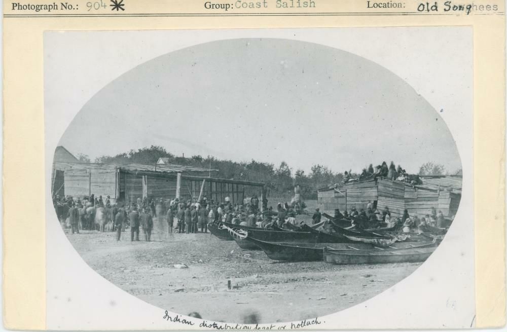 Image representing photograph.