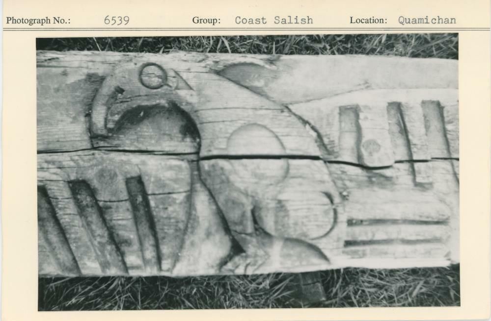 Image representing photograph.