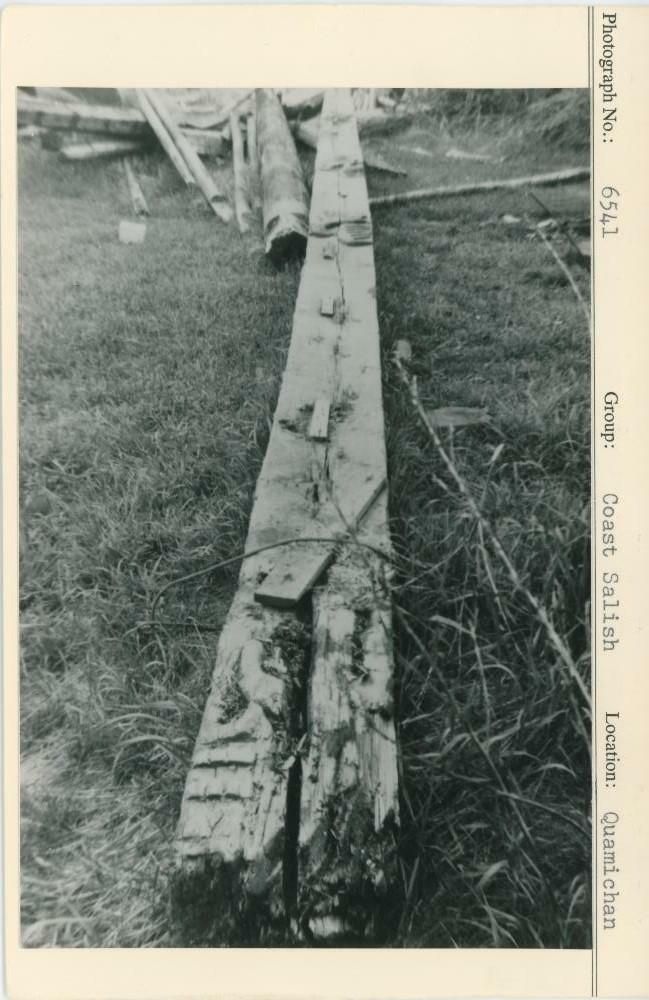 Image representing photograph.