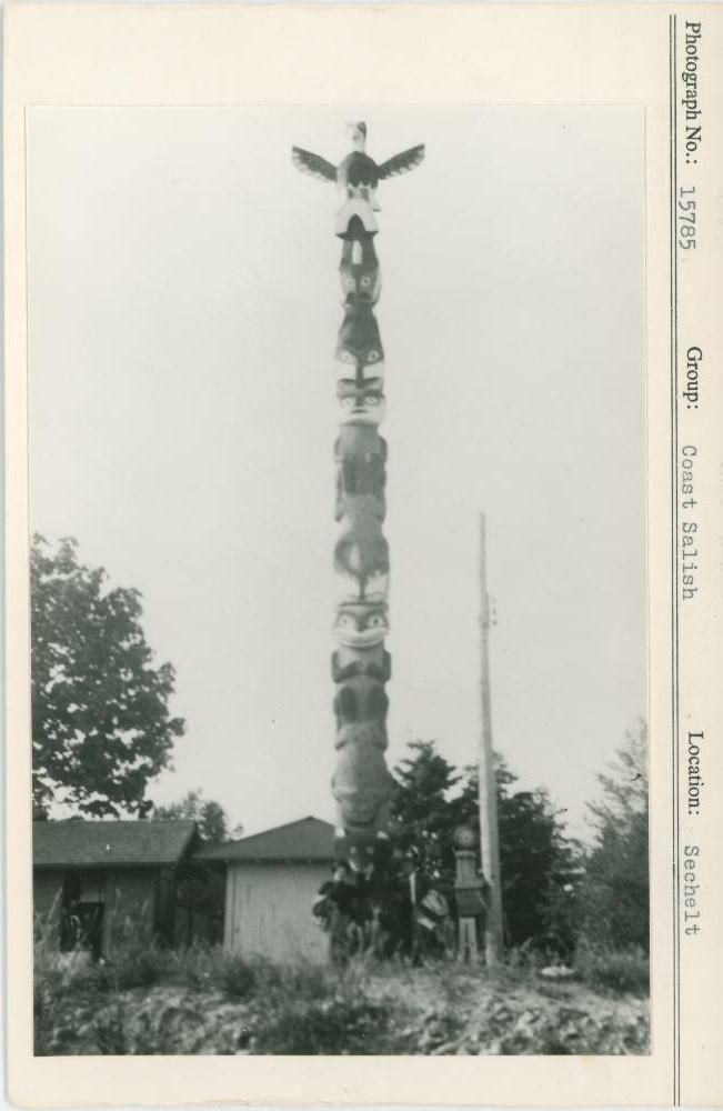 Image representing photograph.