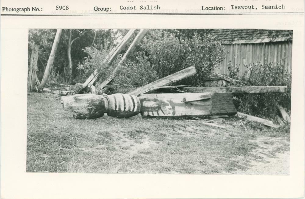 Image representing photograph.
