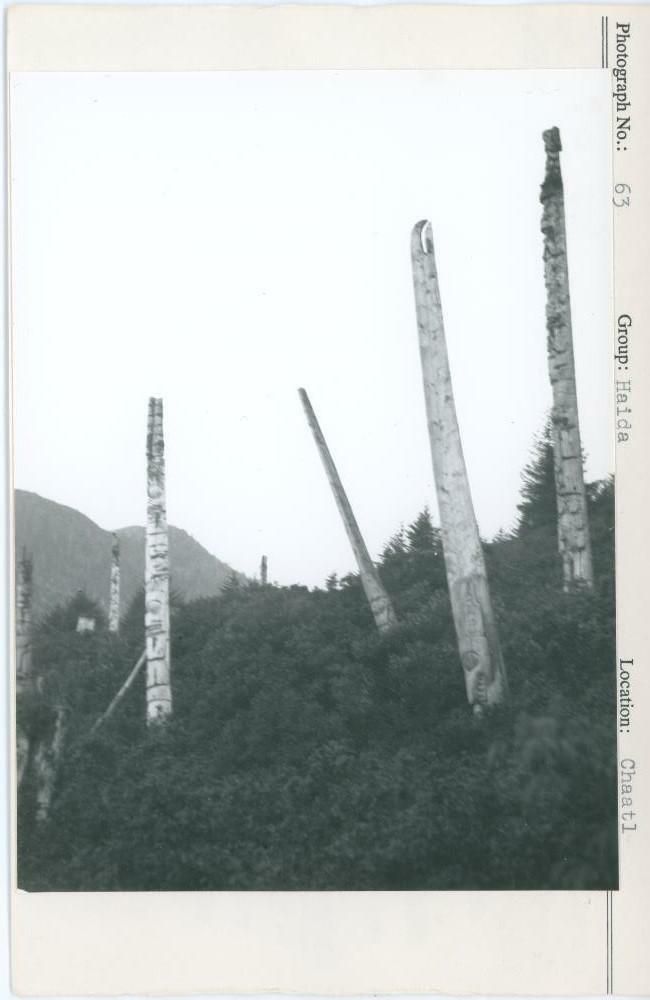 Image representing photograph.
