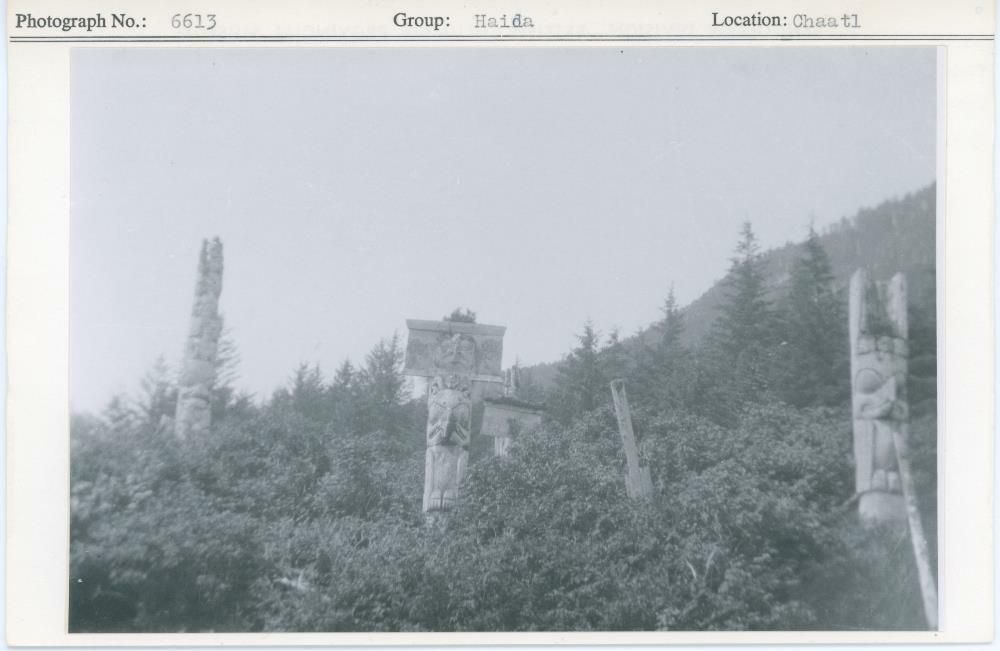 Image representing photograph.