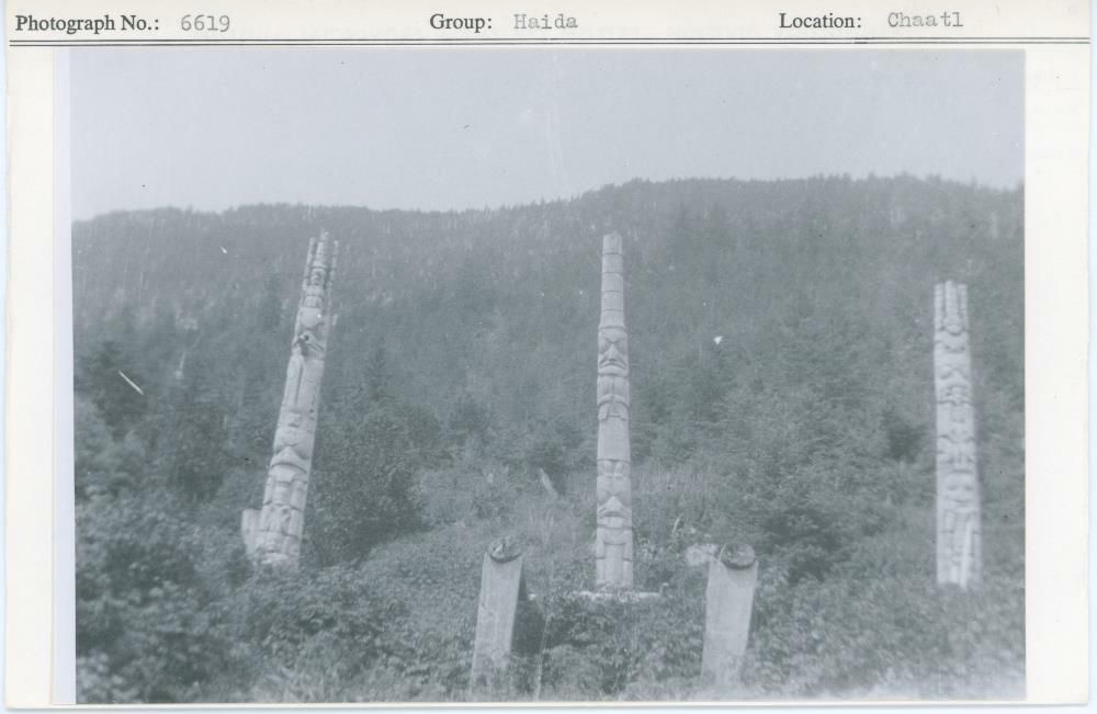 Image representing photograph.