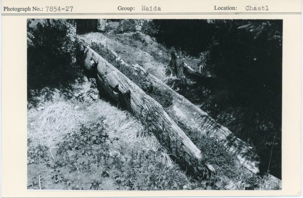 Image representing photograph.