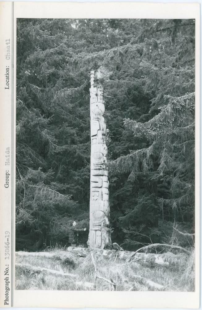 Image representing photograph.