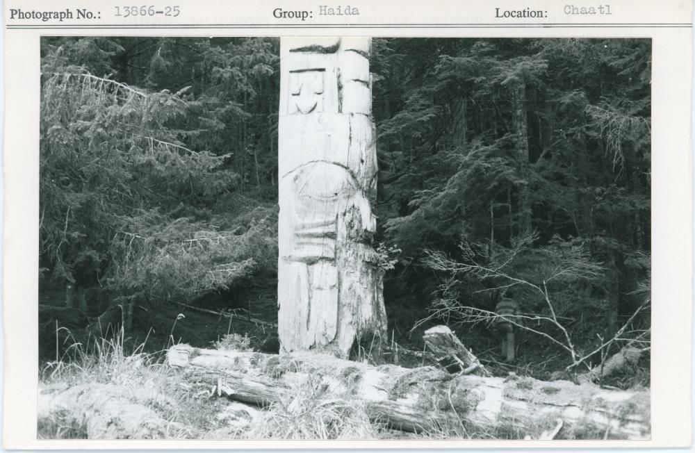 Image representing photograph.