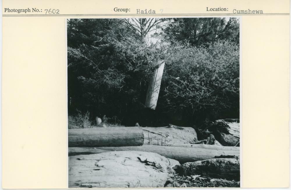 Image representing photograph.