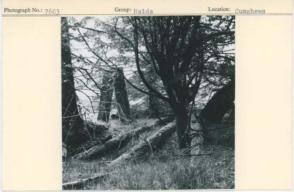 Image representing photograph.