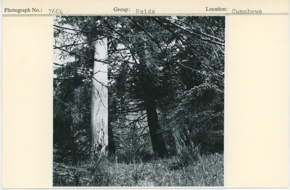 Image representing photograph.