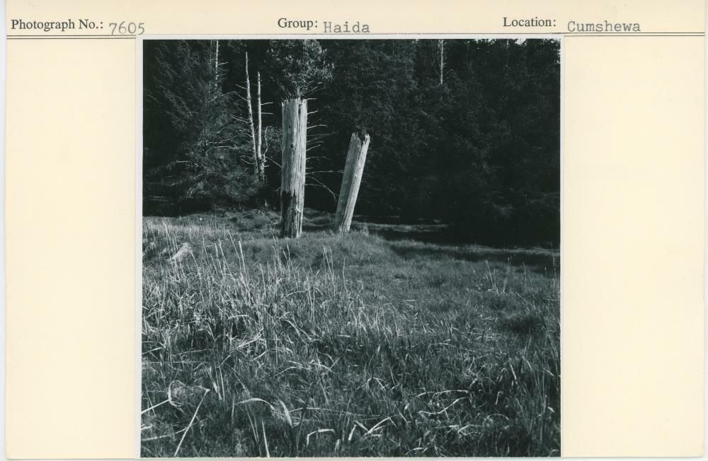 Image representing photograph.