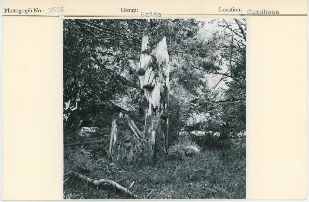 Image representing photograph.