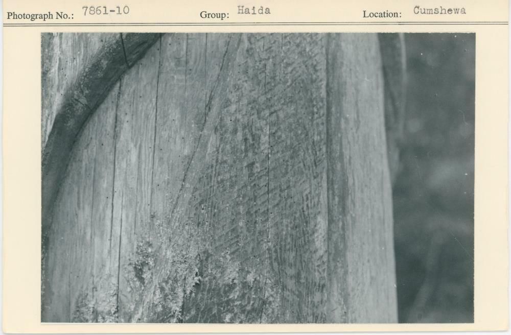 Image representing photograph.