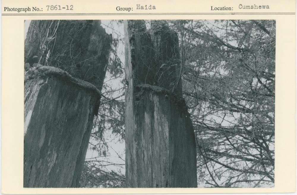 Image representing photograph.