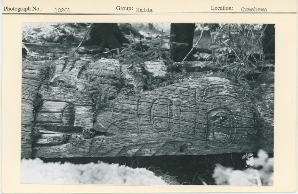 Image representing photograph.