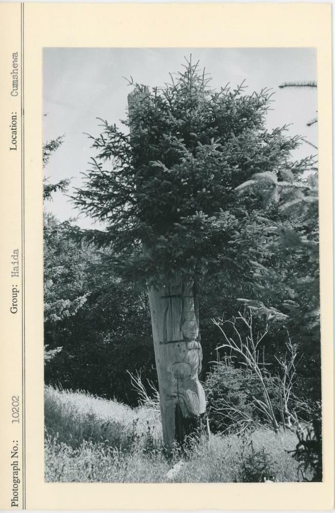 Image representing photograph.