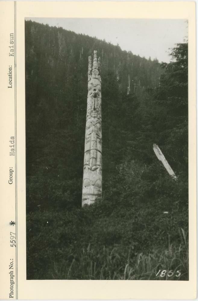 Image representing photograph.