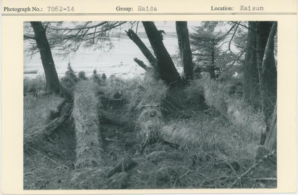 Image representing photograph.