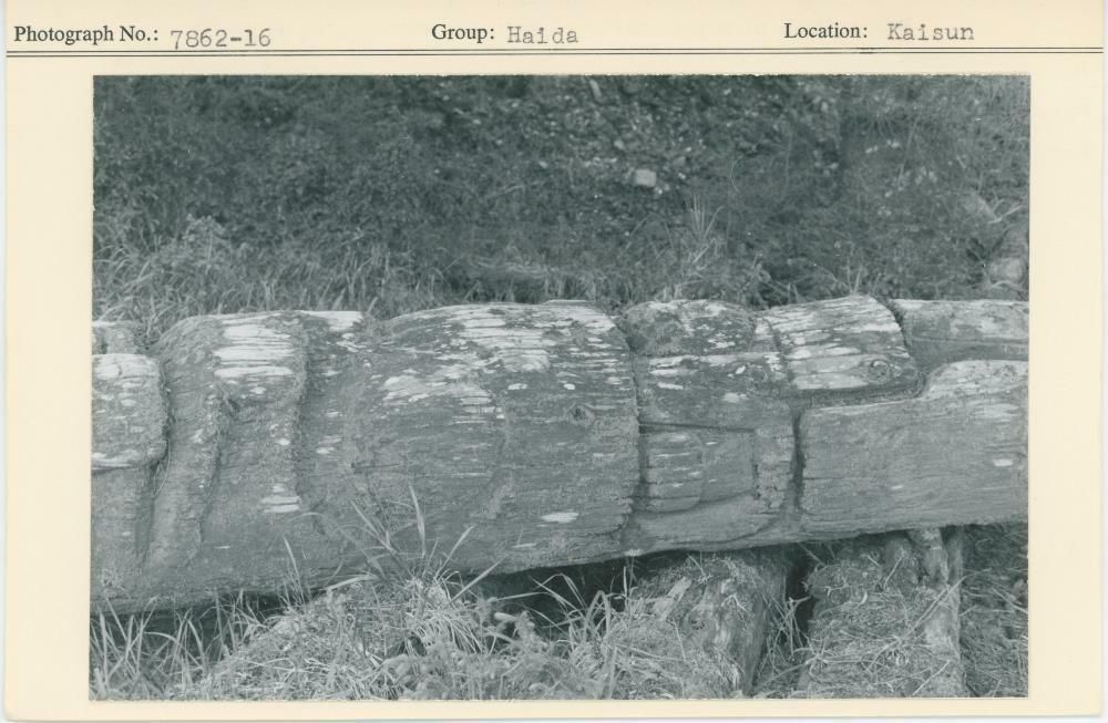 Image representing photograph.