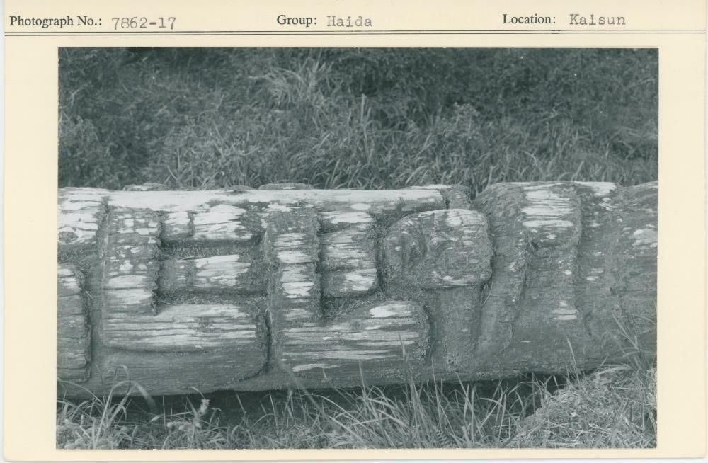 Image representing photograph.