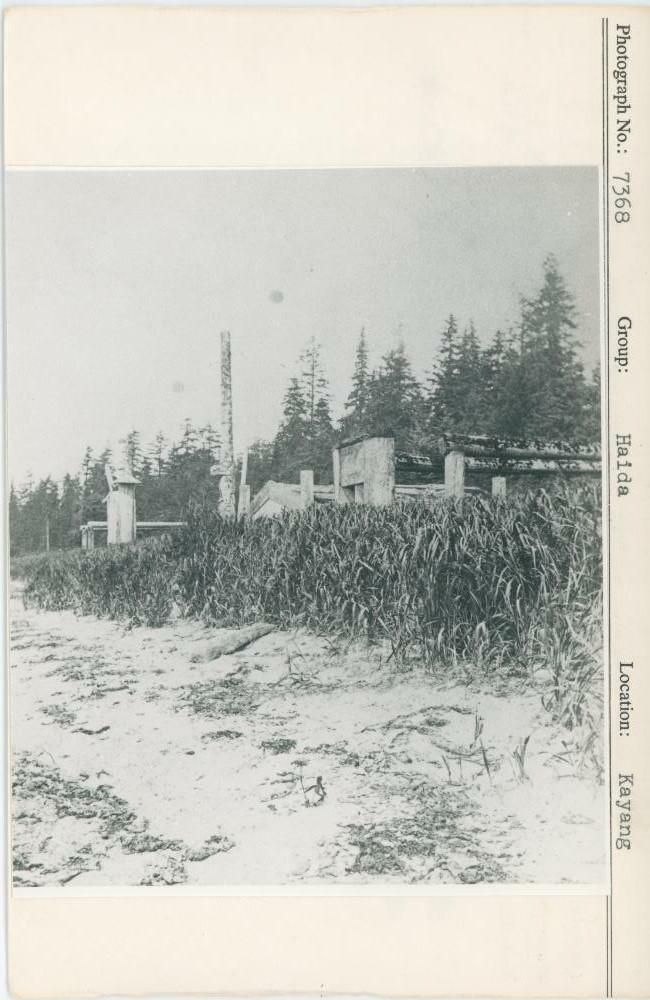 Image representing photograph.