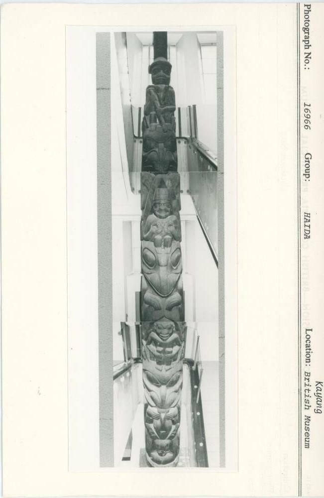Image representing photograph.