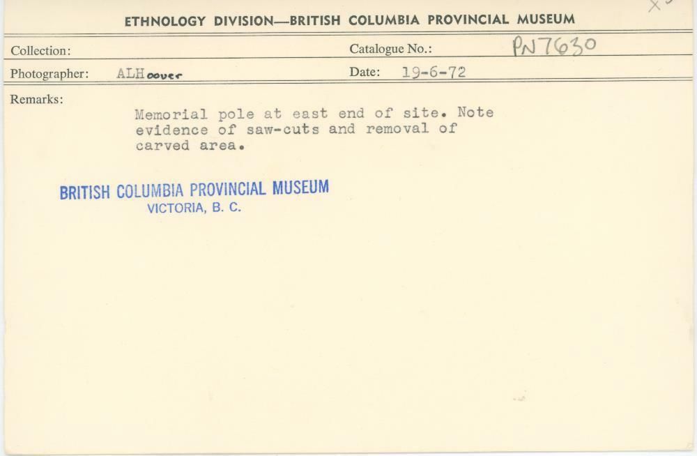 Image representing photograph.