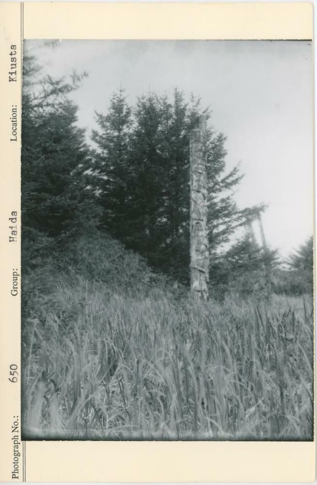 Image representing photograph.