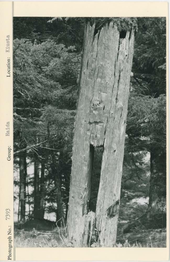 Image representing photograph.