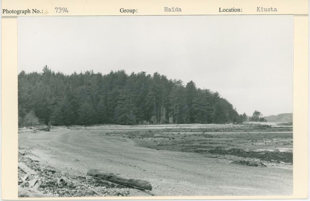 Image representing photograph.