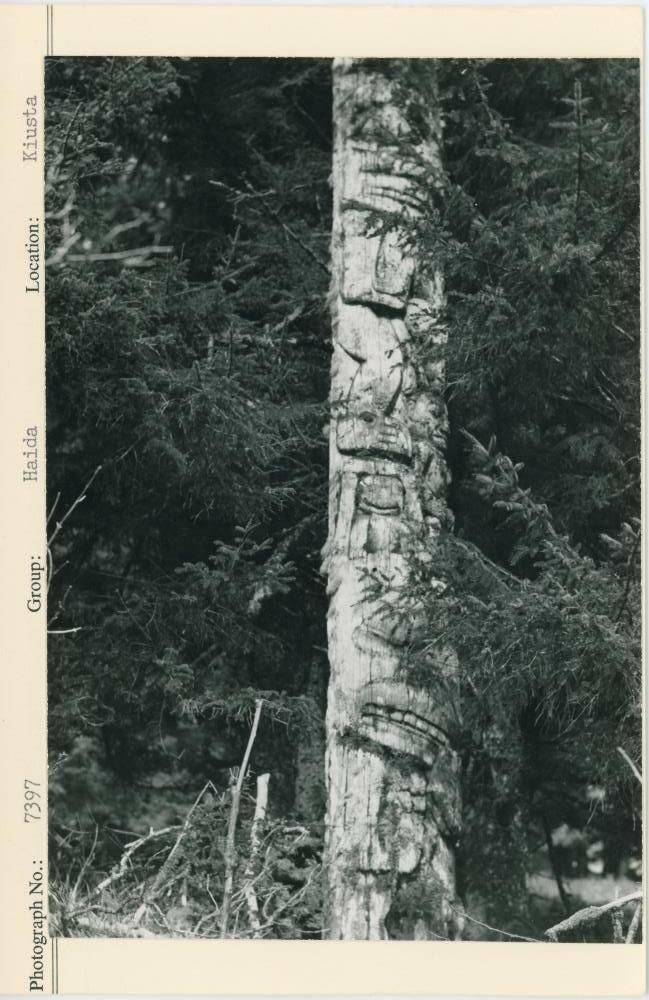 Image representing photograph.