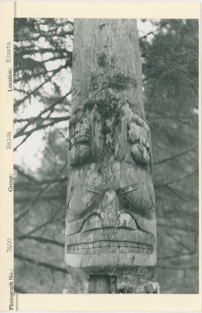 Image representing photograph.