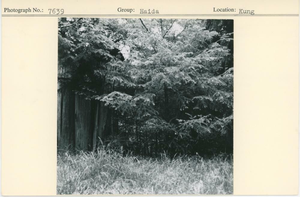 Image representing photograph.