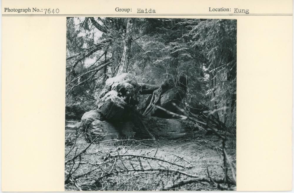Image representing photograph.