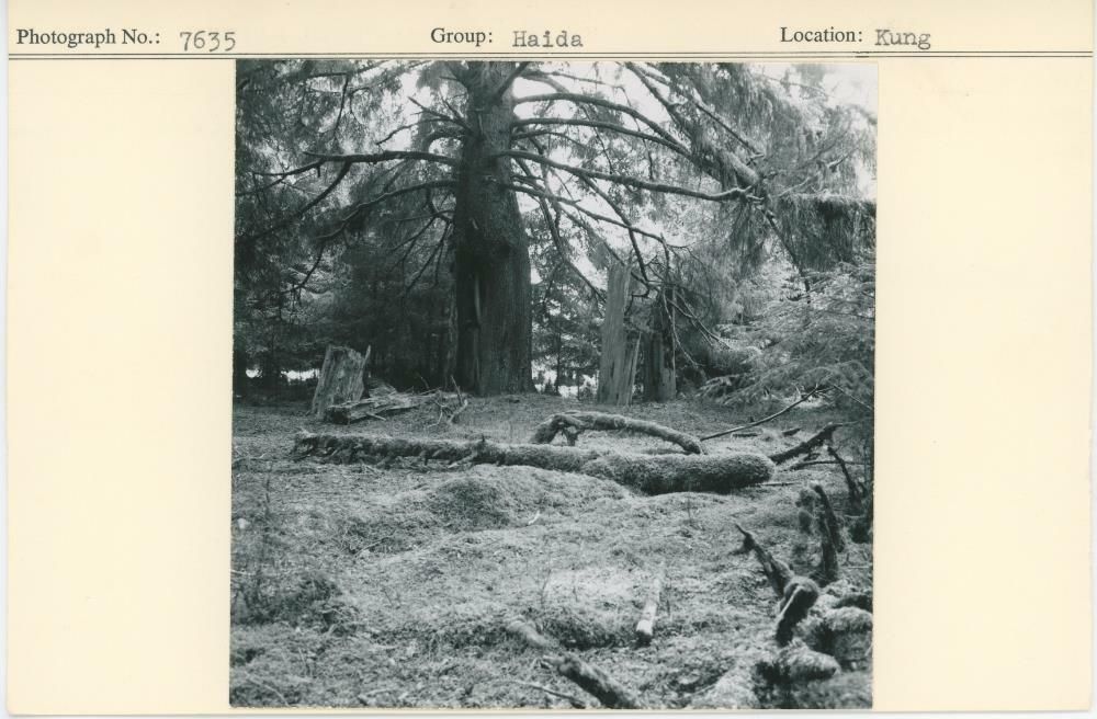 Image representing photograph.