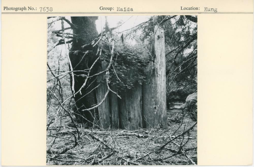 Image representing photograph.