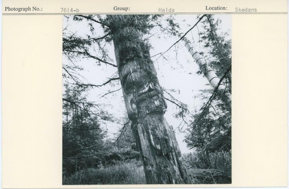 Image representing photograph.