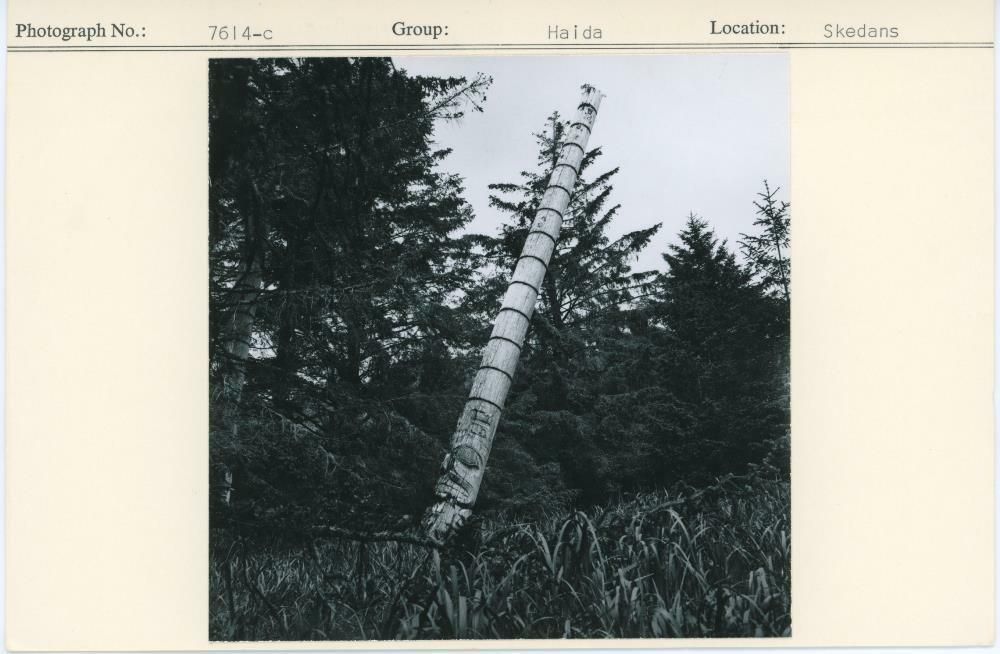 Image representing photograph.