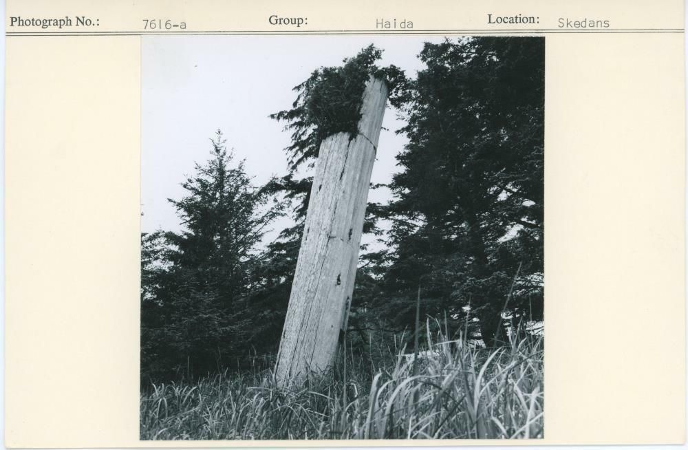 Image representing photograph.