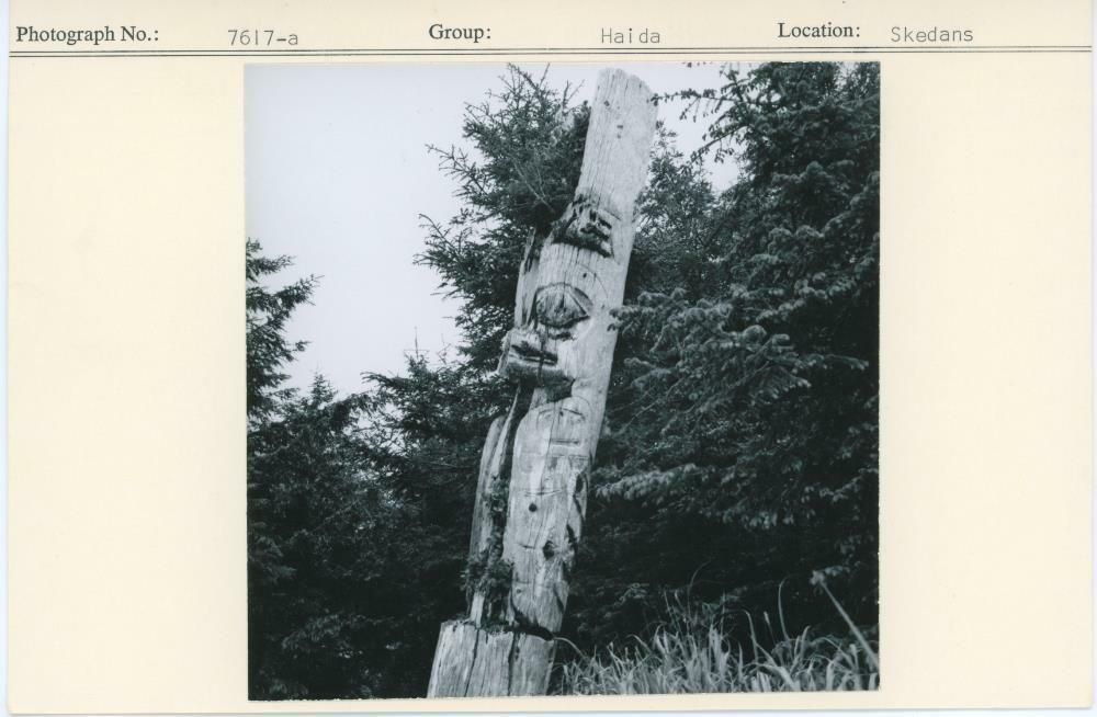 Image representing photograph.