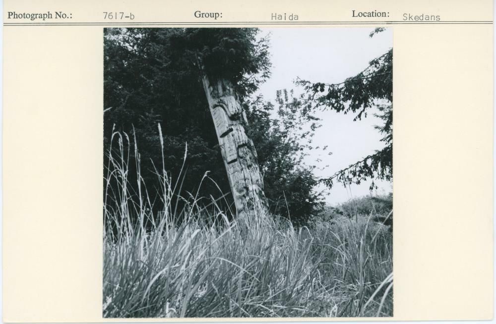 Image representing photograph.